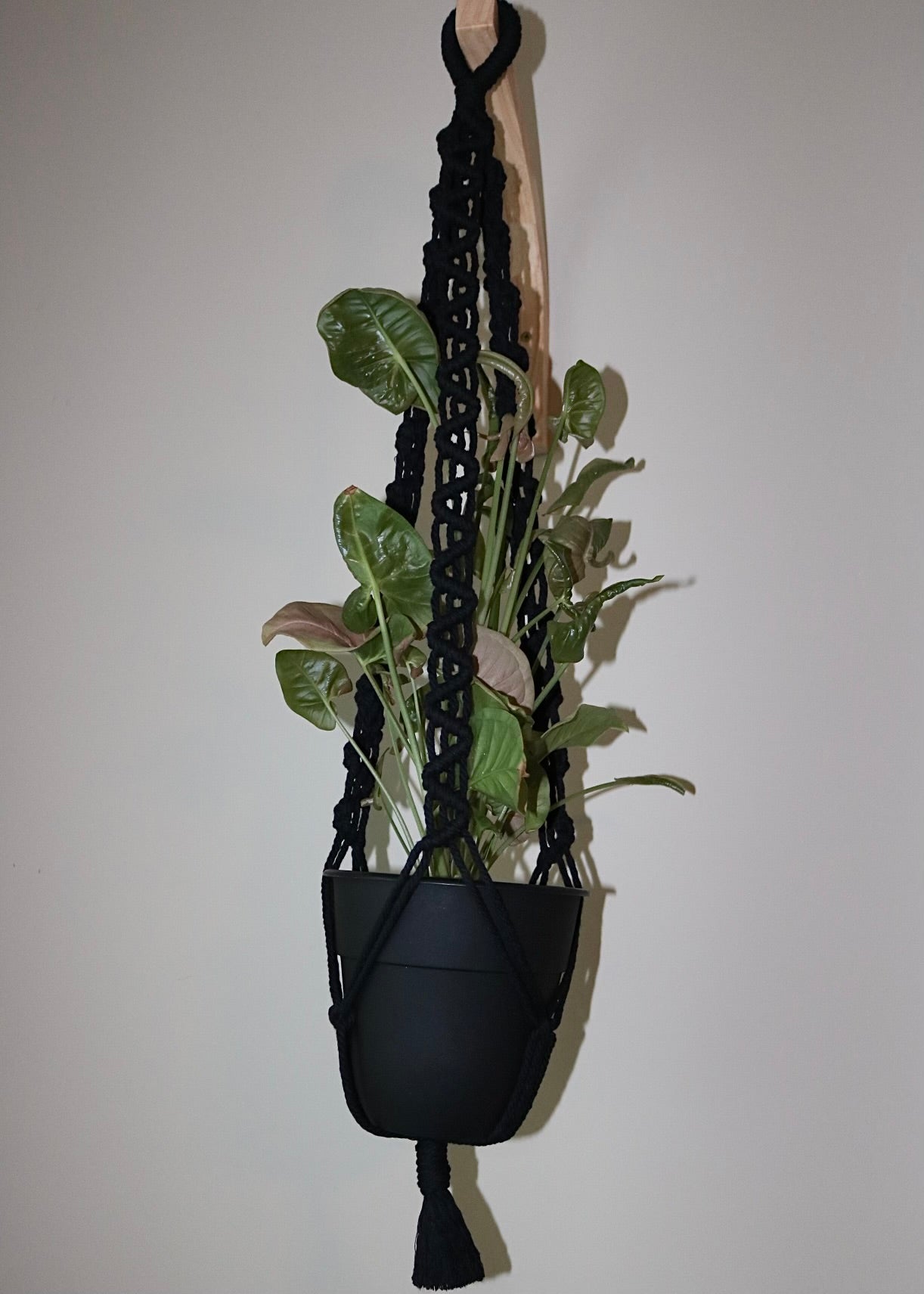 Plant Hangers