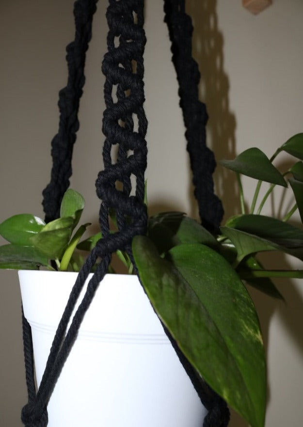 Large Plant Hanger